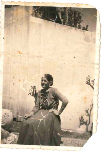 Lepossava 2