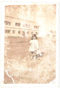 Emília Iovanovitch (In Memorian).